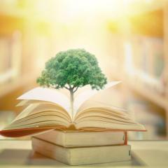 The Beyond Intellectual Property Moment in Historical Context